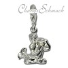 Charm Wassermann Sternzeichen Anhänger - Silber Dream Charms - FC7102